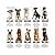 thumbnail image 4 of Pet 1 Pack Dog Shirt – Shirts For Small Dogs – Sleeveless Daddy’s Girl Dog Clothes – Breathable Summer Pet Apparel Stretchy And Stylish Puppy T Shirts, 4 of 11