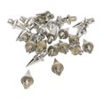 thumbnail image 1 of Wheel Rim Rivet Nut, 25Pcs Wheel Rim Rivet Nut Stylish Look Easy Installation Spike Wheel Rim Lip Rivet Nut for Wheels with Plastic Faux Rivets, 1 of 8