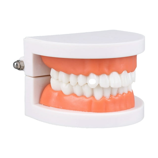 Vogacara Juguetes educativos para niños, aprendizaje, cepillado de dientes, ayuda didáctica interactiva para padres e hijos, accesorio de Juguetes Educativos