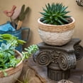 thumbnail image 4 of Rattan Pattern Edge Cement Planter, 4 of 10