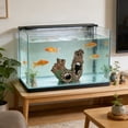 thumbnail image 3 of BotaniNest Ornement de Racines Naturelles en Résine pour Aquarium, Cachette, Abri, 3 of 5