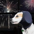 thumbnail image 3 of Orejeras para Perros Yuxing Protección Contra el Ruido Alivio de la Ansiedad L, 3 of 5