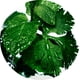 thumbnail image 4 of Stick de desodorante de agua fr�a (libre de alcohol) por Davidoff Davidoff Model, 4 of 4