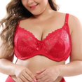 thumbnail image 4 of Deepwonder Women E/D Cup Lace Minimizer Full Figure Underwire Bra Lace Perspective Bras Non Padded Women Lingerie Underwire Embroidery, 4 of 6