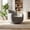 Dark Gray, variant on Noble House Gabryle 360° Swivel Accent Chair, Luxurious Chenille Upholstered Barrel Chair, Living Room, Camel