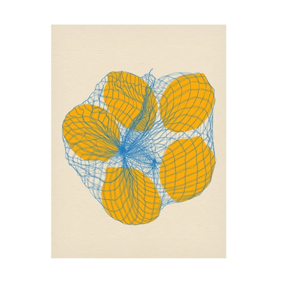 Trademark Fine Art Rosi Feist Five Lemons In a Net Bag Canvas Wall Art