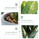 thumbnail image 2 of 1 planta artificial de monstera falsa, bonsái, planta verde de imitación, decoración del hogar., 2 of 6