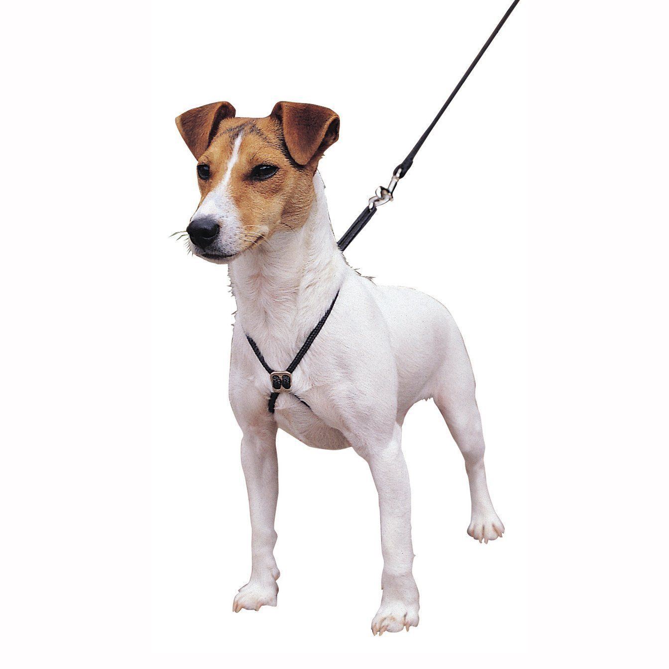 simple dog harness