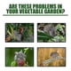 thumbnail image 2 of Paquete de pastillas repelentes para ratas Rodenticida Horticultura Hogar Motor de automóvil Repelente de ratas y ardillas Roedores, 2 of 4