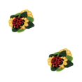 thumbnail image 2 of Sonducket Hook Carpet Kit Butterfly Shaped Kit Yarn Rug Crochet DIY for Beginner Tipo 3 52 cm x 38 cm 2Conjunto, 2 of 6