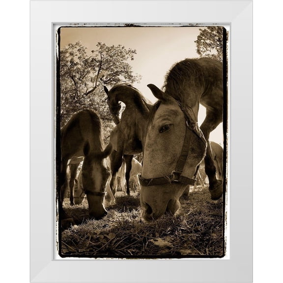 Malovrh, Milan 12x14 White Modern Wood Framed Museum Art Print Titled - Chow Time