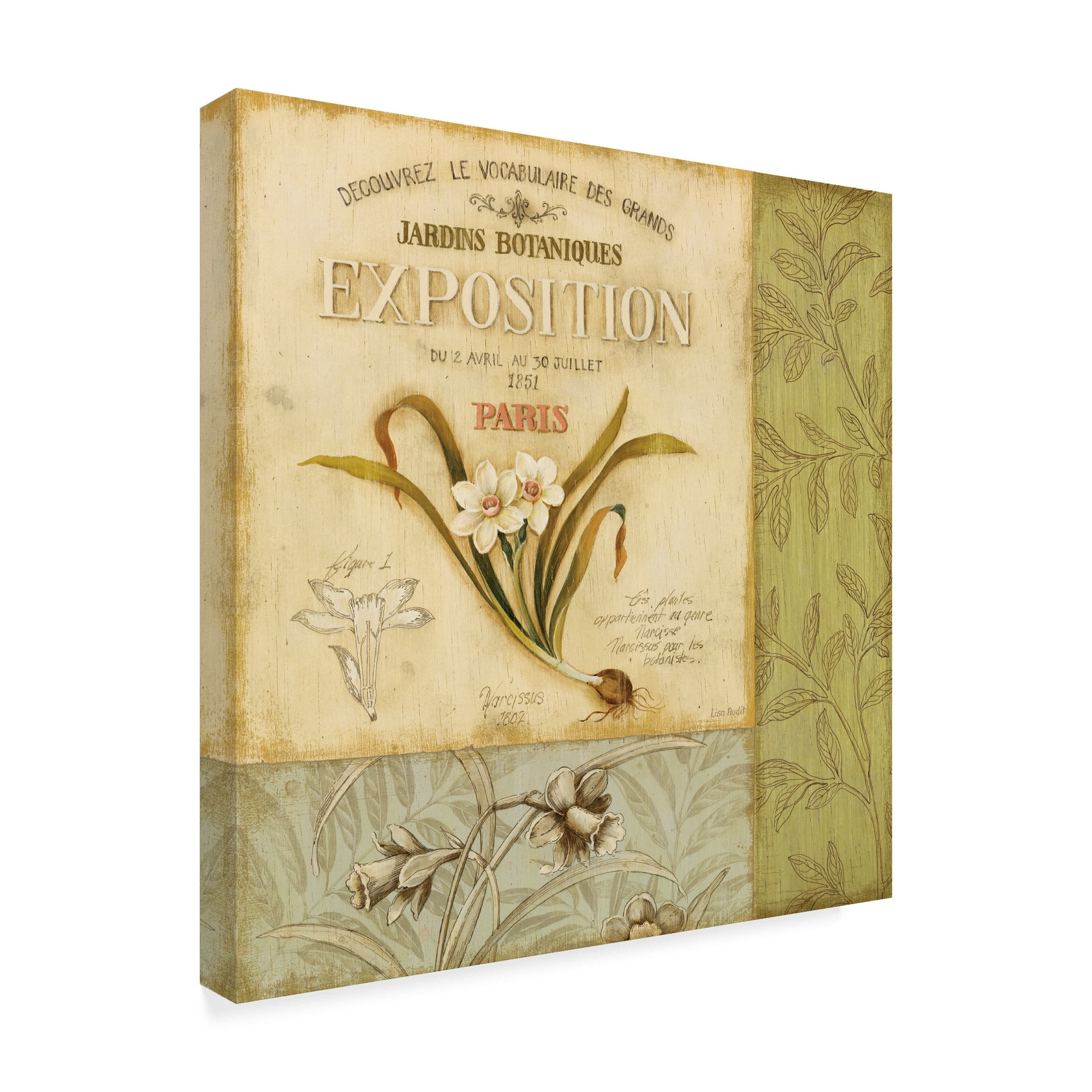 Trademark Fine Art 'Botanical Exhibit II' Canvas Art by Lisa Audit