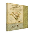 thumbnail image 2 of Trademark Fine Art 'Botanical Exhibit II' Canvas Art by Lisa Audit, 2 of 3