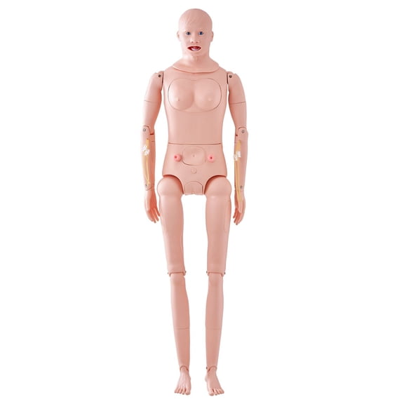 Male Female Life Size Nursing Training Manikin PVC Anatomical Simulator Multifunctional Teaching Model
