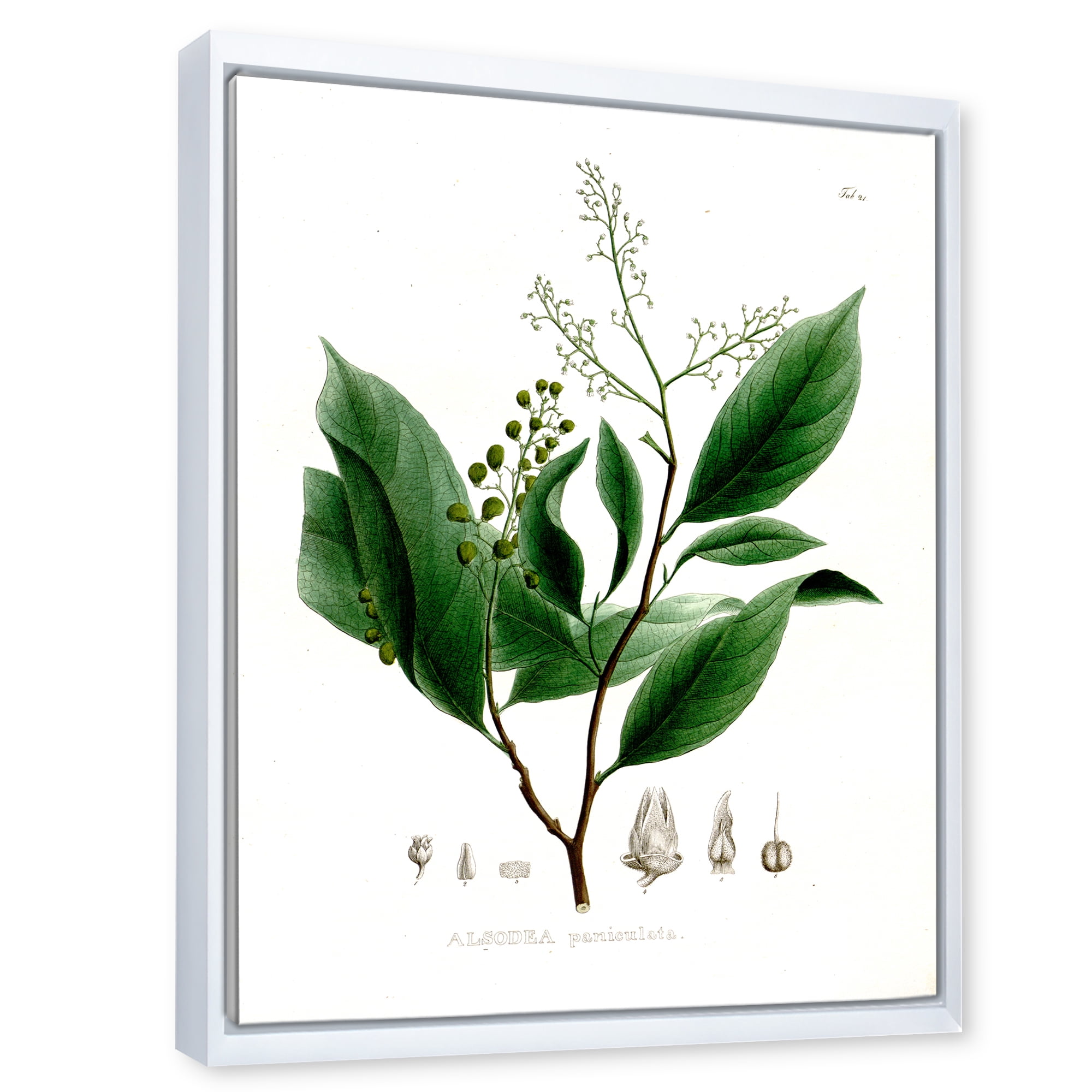 Designart 'Ancient Brazilian Plant II' Traditional Framed Canvas Wall Art Print