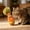 Orange, variant on Wooden Wobble Cat Toy, Natural Beechwood Self-Righting Tumbler for Indoor Cats