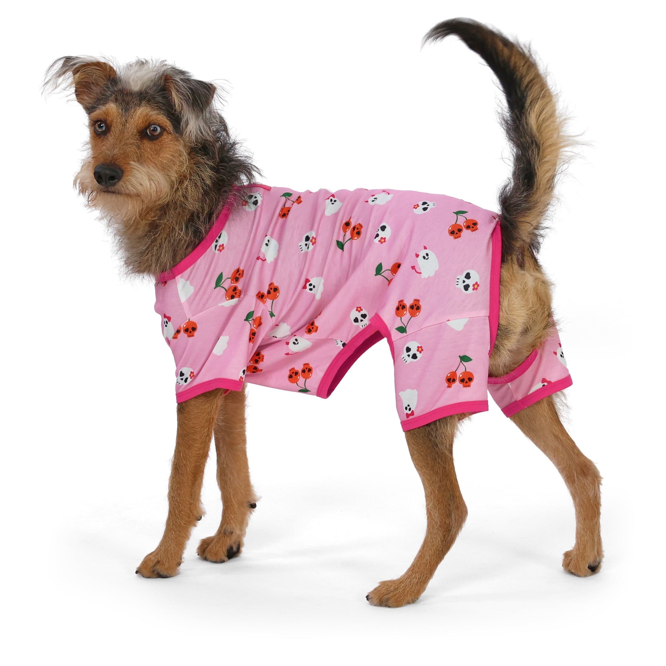 Vibrant Life Halloween Pajamas for Dogs, Skull Cherries and Ghosts, Pink, M