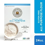 King Arthur Baking Company Non-GMO Project Verified, Certified Gluten-Free All-Purpose Flour, 24 oz Box