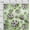 Light Green, variant on oneOone Cotton Poplin Twill Light Green Fabric Flower Watercolor Diy Clothing Quilting Fabric Print Fabric By Yard 56 Inch Wide
