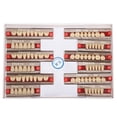 thumbnail image 1 of Dientes postizos de resina,Dientes postizos postizos de resina sintética dental Prótesis dental de resina adaptada para la perfección, 1 of 8
