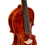 Musicale Series Violin Outfit