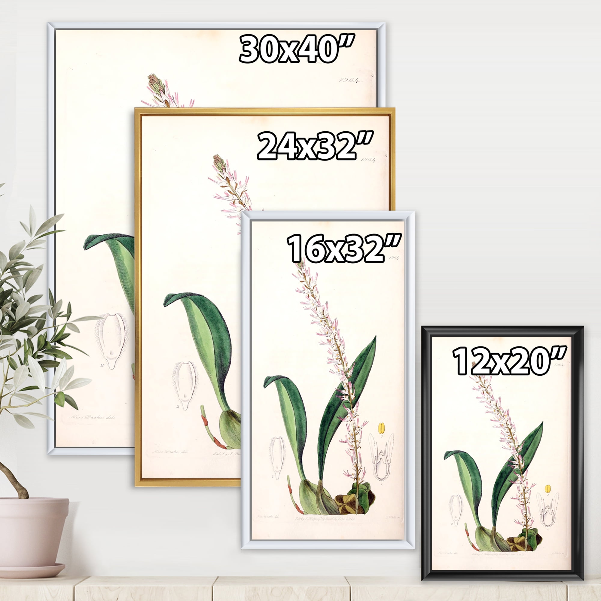 Designart 'Ancient London Plants V' Traditional Framed Canvas Wall Art Print