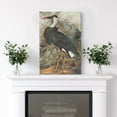 thumbnail image 3 of PixonSign Canvas Print Wall Art Fine Art Tropical Swamp Heron Bird Nature Wilderness Illustrations Modern Art Botanical Floral Farmhouse/Country Relax/Calm/Cozy - 24"x36", 3 of 5