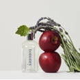 thumbnail image 2 of Perfume Tommy Hilfiger Tommy Cologne Spray 30 ml para hombre, 2 of 7