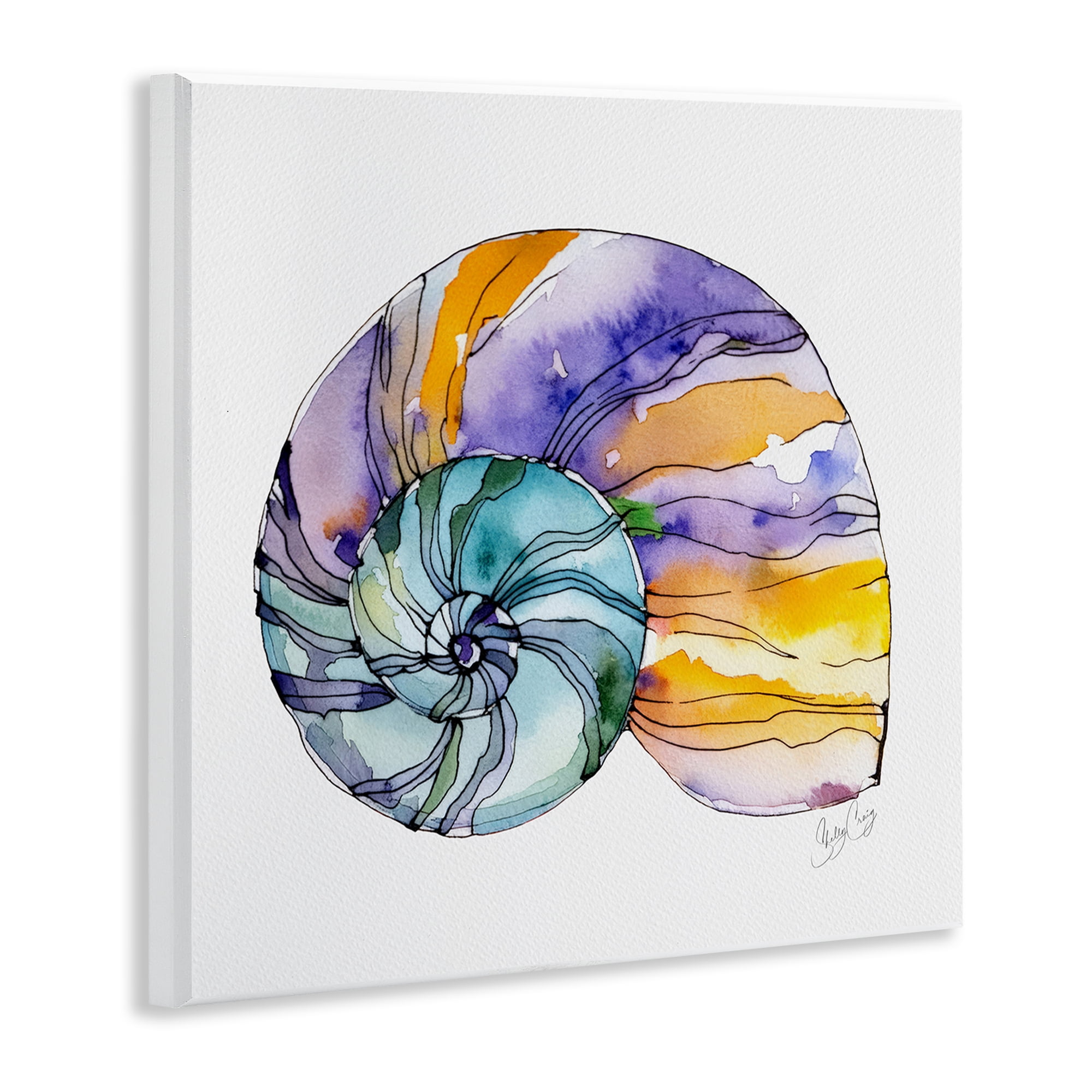 Stupell Industries Sunlit Striped Nautilus Wall Plaque Art, design by Shelly Craig