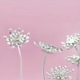 thumbnail image 2 of Telik, Tracey 26x26 White Modern Wood Framed Museum Art Print Titled - Queens Rosey 40, 2 of 4