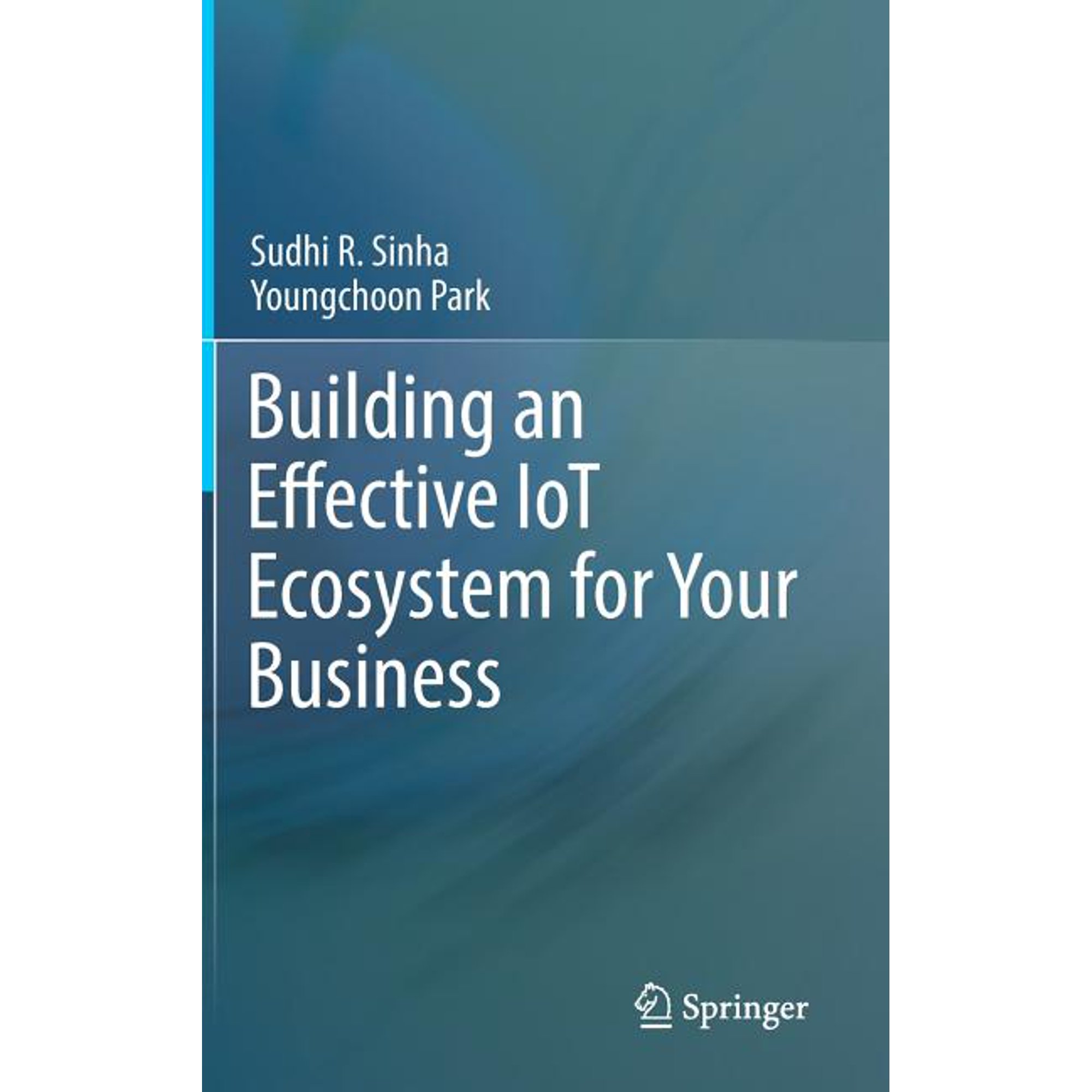 Building an Effective Iot Ecosystem for Your Business (Hardcover)