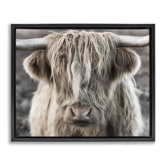 Stupell Industries Farmhouse Detailed Highlands Cattle Rural Farm Photography Black Floating Frame Canvas Art, 21 x 17, by Danita Delimont