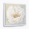 thumbnail image 1 of Pivoine Blanche Sereine - Toile Encadrée Cottage, 1 of 3