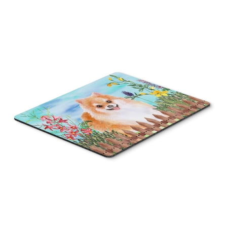 Pomeranian 2 Spring Mouse Pad Hot Pad or Trivet price history on PriceWatchPro