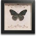 thumbnail image 1 of HUGFEGWE Butterfly Specimens in Shadow Box Butterflies Insect Specimen Real Butterfly Framed Home Decor Ornament for Wall Shelf Table Display Aesthetic Handmade Craft Gift CA919-133409, 1 of 7