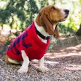 thumbnail image 3 of Gap Pet, Dog Clothes, Red Buffalo Plaid Pet Sweater, 3 of 7
