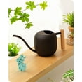 thumbnail image 1 of Regadera Baffect Indoor Plants de acero inoxidable de 1,2 L, 1 of 6