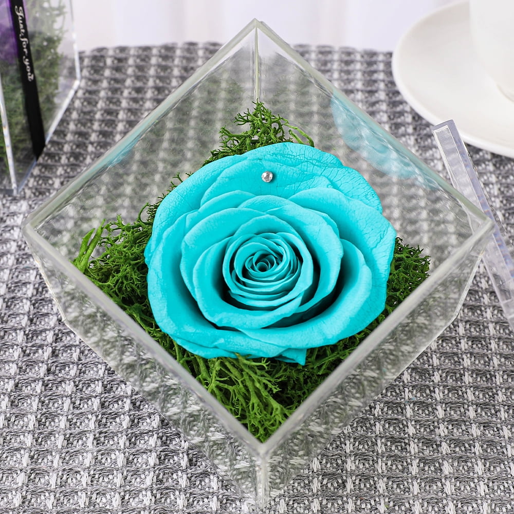 Table Décor Enchanted Real Preserved Forever Rose in Clear Acrylic Box
