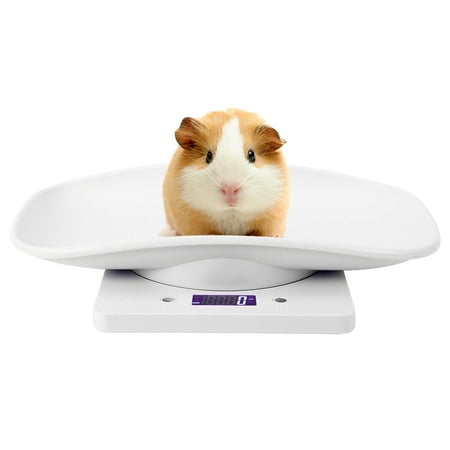 Rdeghly Electronic Scale,10kg/1g Digital Small Pet Weight Scale for Cats Dogs Measure Tool Electronic Kitchen Scale,Kitchen Scale | Walmart Canada Rdeghly Electronic Scale,10kg/1g Digital Small Pet Weight Scale for Cats Dogs Measure Tool Electronic Kitchen Scale,Kitchen Scale | Walmart Canada