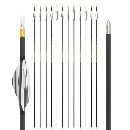 SHARROW 32 Inch 4.2 mm Pure Carbon Archery Target Arrows for Recurve Bow Straightness +/- .003 Silver Spine 800 (12 Pack)