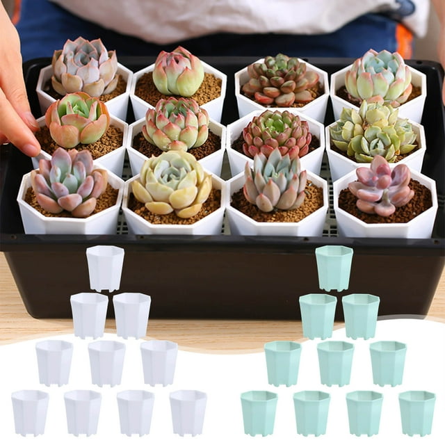 mfyjkho Juego De 10 Macetas De Resina Para Decoración Del Hogar Y Jardinería, De Plástico Blanco, Para Uso Interior Y Exterior.