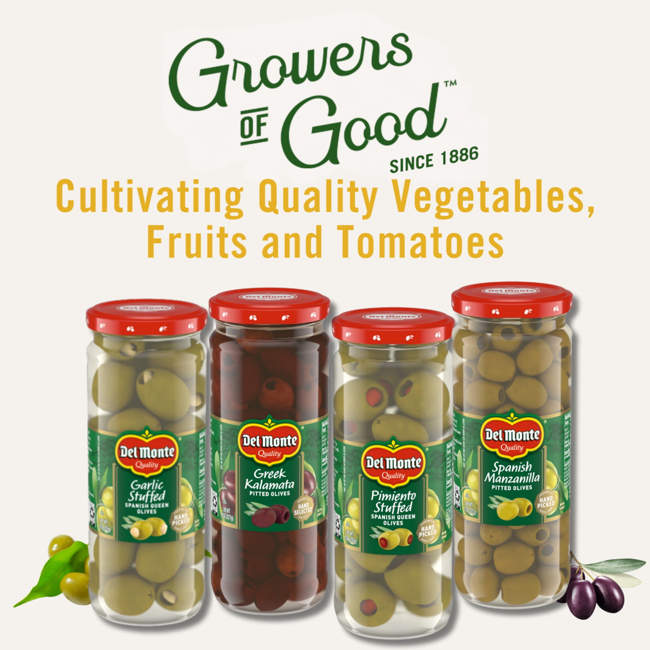 Del Monte® Spanish Manzanilla Pitted Olives, 8 oz. Jar - Walmart.com