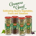 thumbnail image 6 of Del Monte® Greek Kalamata Pitted Olives, 8 oz. Jar, 6 of 6