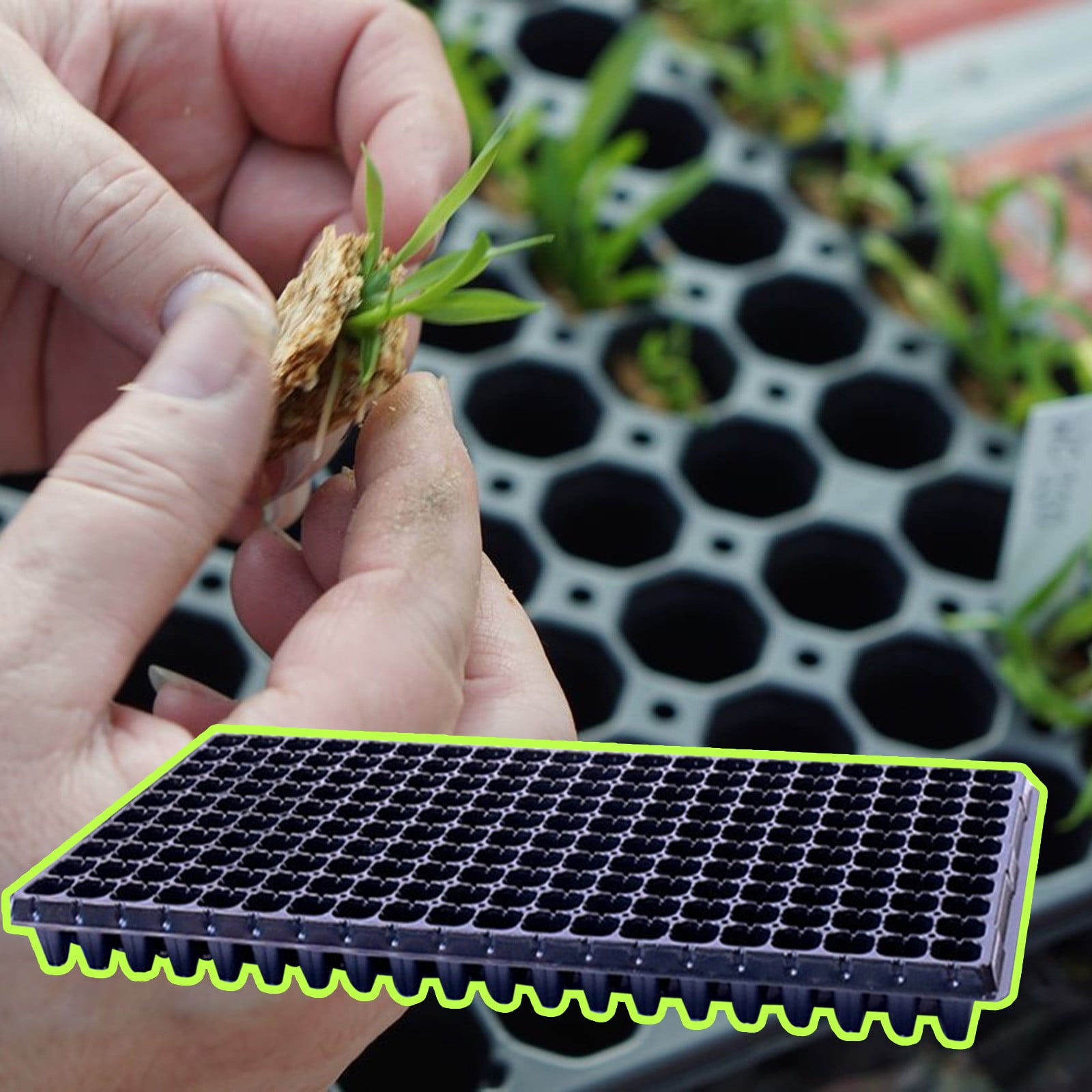 9-Pack 200 Cell Seed Starter Trays - Thick Plastic Propagation Flats with Drain Holes for Vegetables, Fruits & Seedlings - Durable Nursery Plug Trays for Indoor Gardening