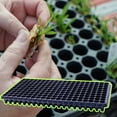 thumbnail image 6 of YaoZQ 3-Pack 200 Cell Seed Starter Trays, 21.3x11" Black Plastic Germination Station for Greenhouse Vegetables, Reusable Nursery Plug Flats Kit, 6 of 6