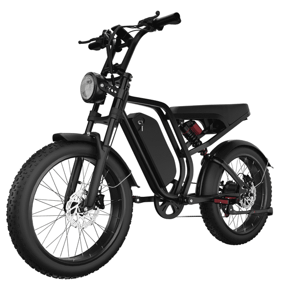 Adult Fat Tire Electric Bike, 1000W Peak Power, 48V 16Ah Battery, 20-Inch Tires, Dual Suspension