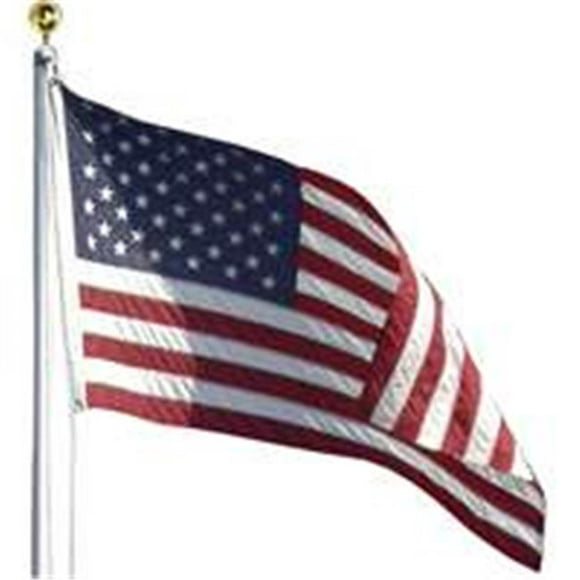 Valley Forge Flag 7247778 20 ft. Aluminum Flag Pole Kit