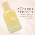 thumbnail image 4 of CLIV Ginseng Berry Premium Ampoule Ampolla facial nutritiva para piel seca y cansada Piel sana y húmeda Auténtico cuidado de la piel coreano (kit especial), 4 of 5