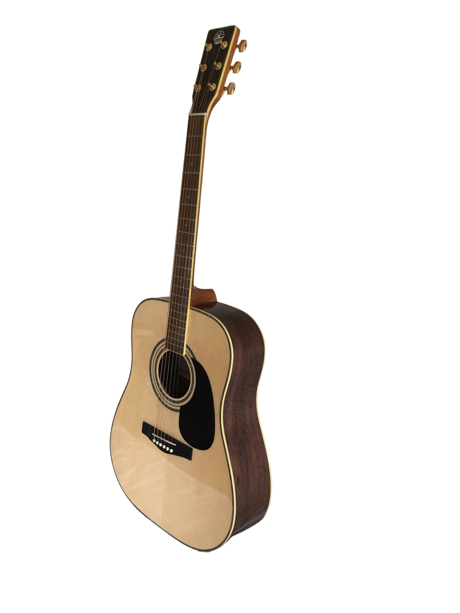 Revival Dreadnought Acoustic Guitar Black Spruce Top with D'Addario Strings