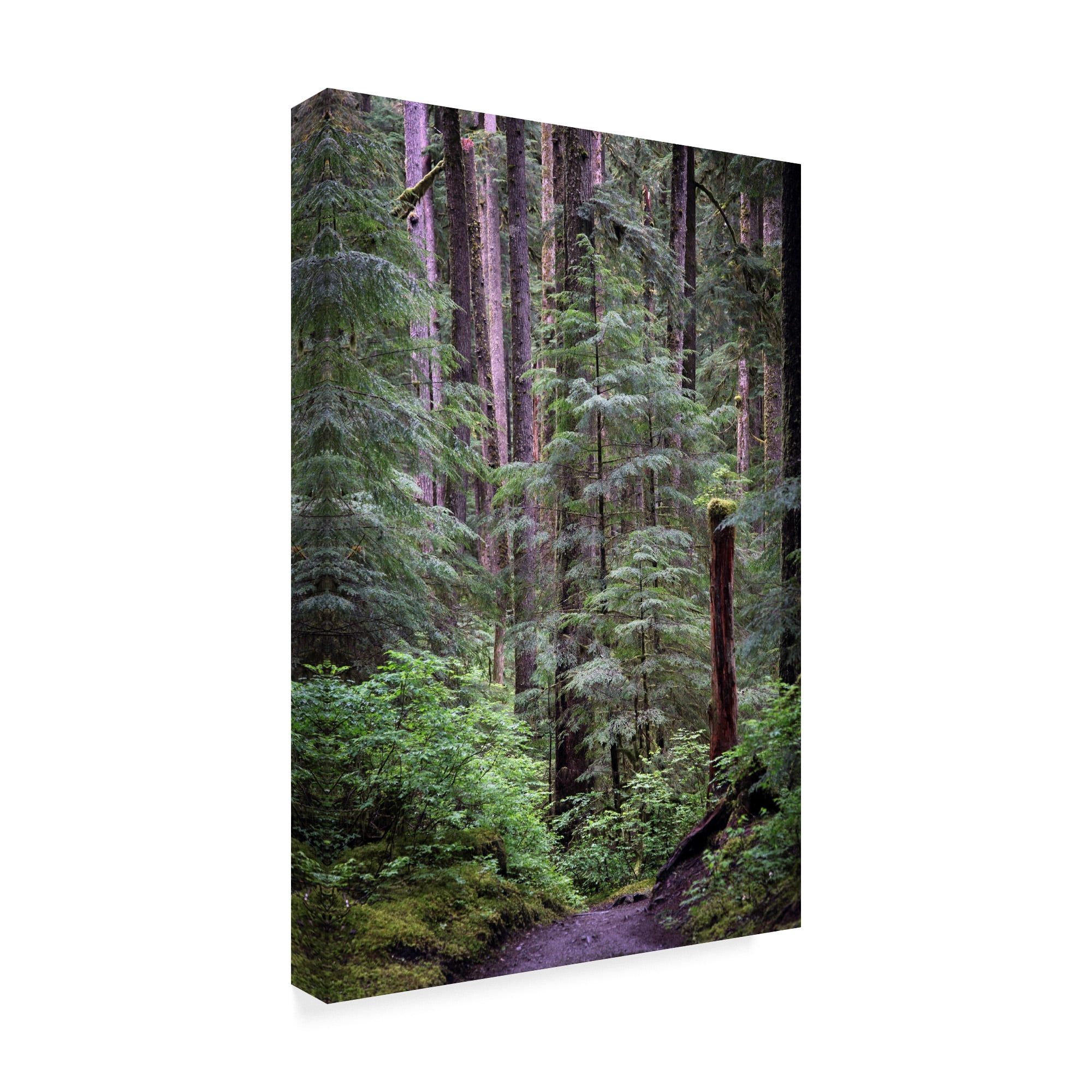 Trademark Fine Art 'Olympic Np 6' Canvas Art by J.D. McFarlan